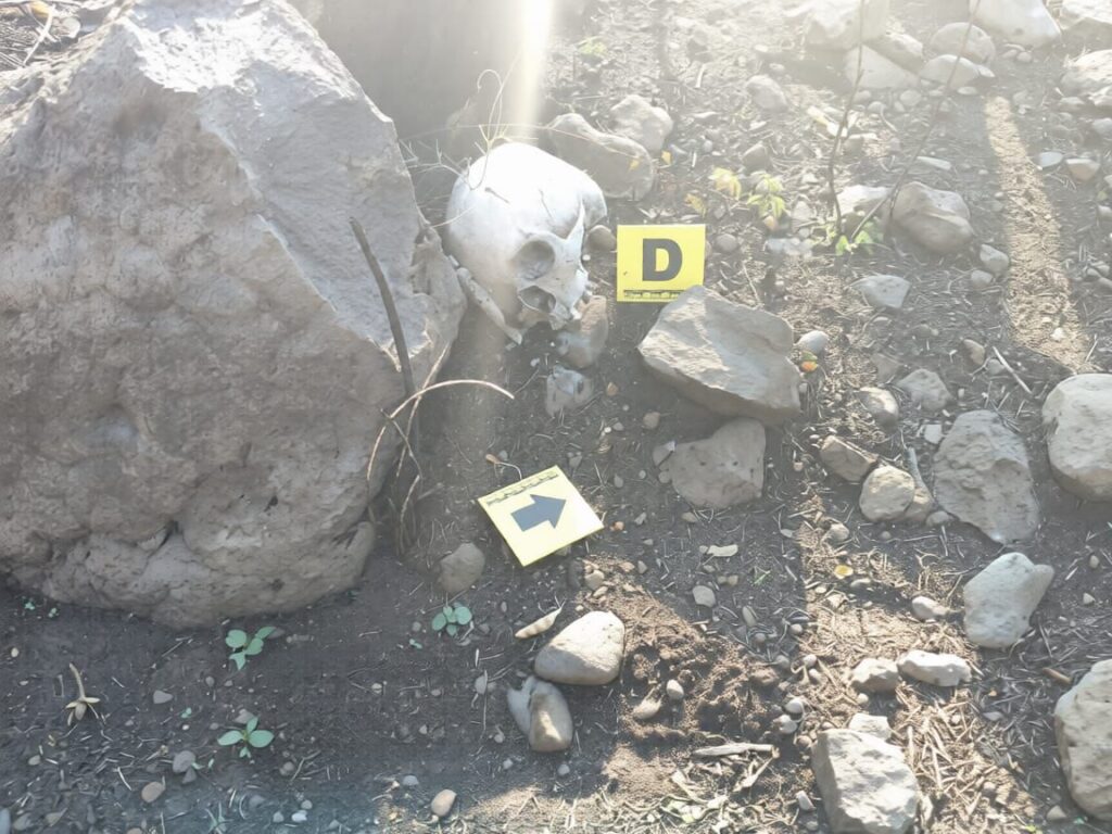 EN YAUTEPEC: ABANDONAN DOS CRÁNEOS HUMANOS